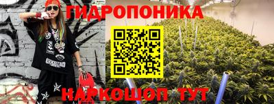 спайс Гатчина