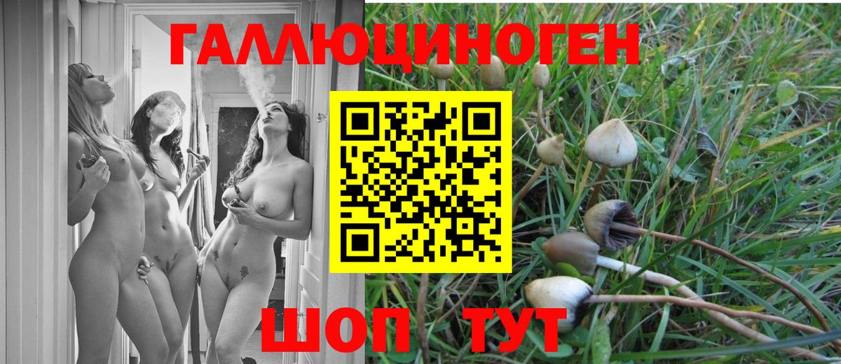 Галлюциногенные грибы прущие грибы Каменск-Шахтинский
