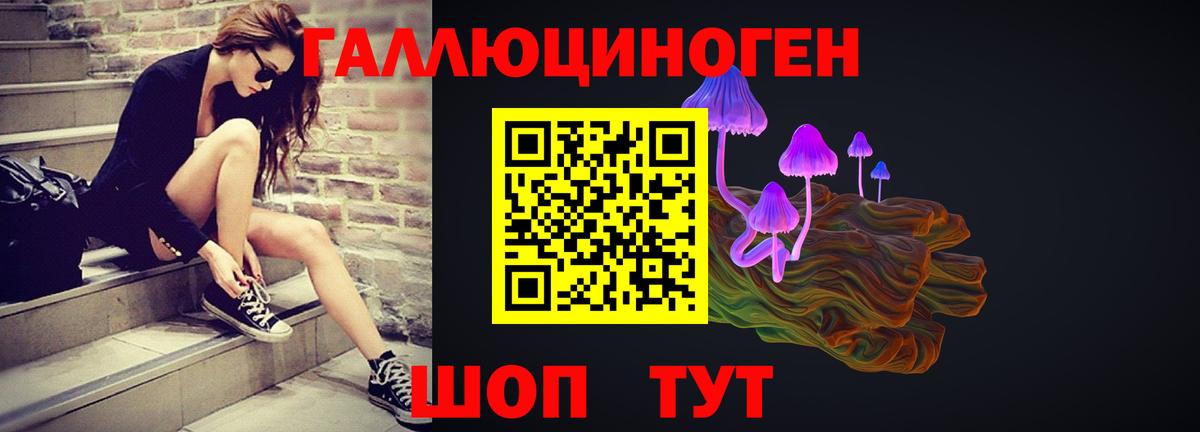 Каменск-Шахтинский  даркнет сайт  Вход с VPN  Псилоцибиновые грибы мухоморы 