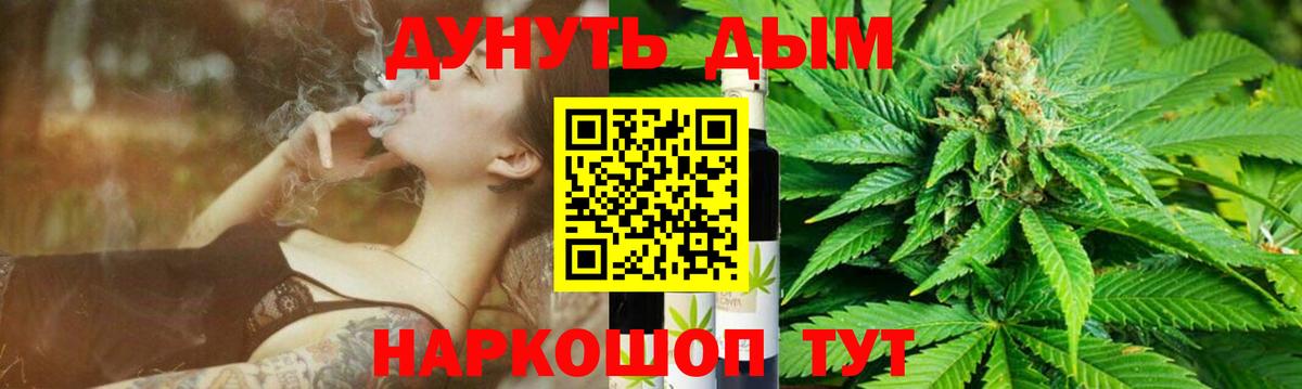 Бошки Шишки планчик Каменск-Шахтинский
